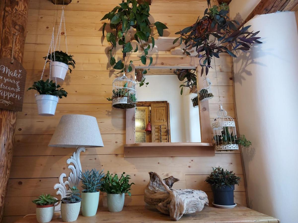 B&B Sognoincadore Domegge di Cadore Dış mekan fotoğraf