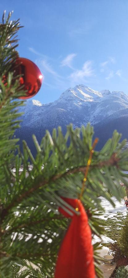 B&B Sognoincadore Domegge di Cadore Dış mekan fotoğraf