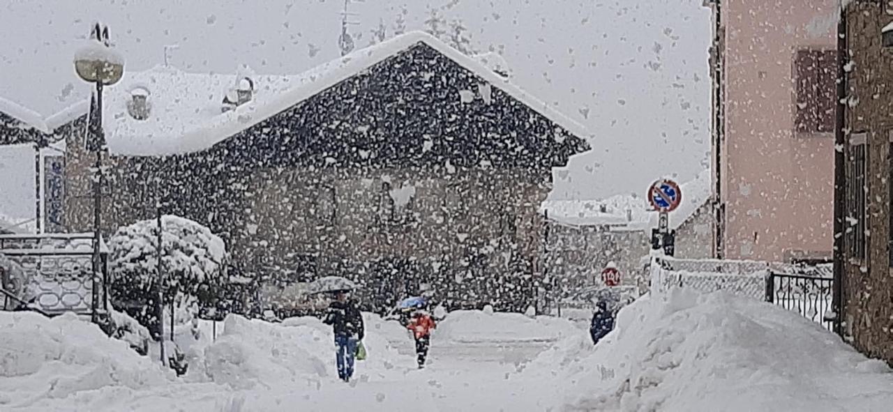 B&B Sognoincadore Domegge di Cadore Dış mekan fotoğraf