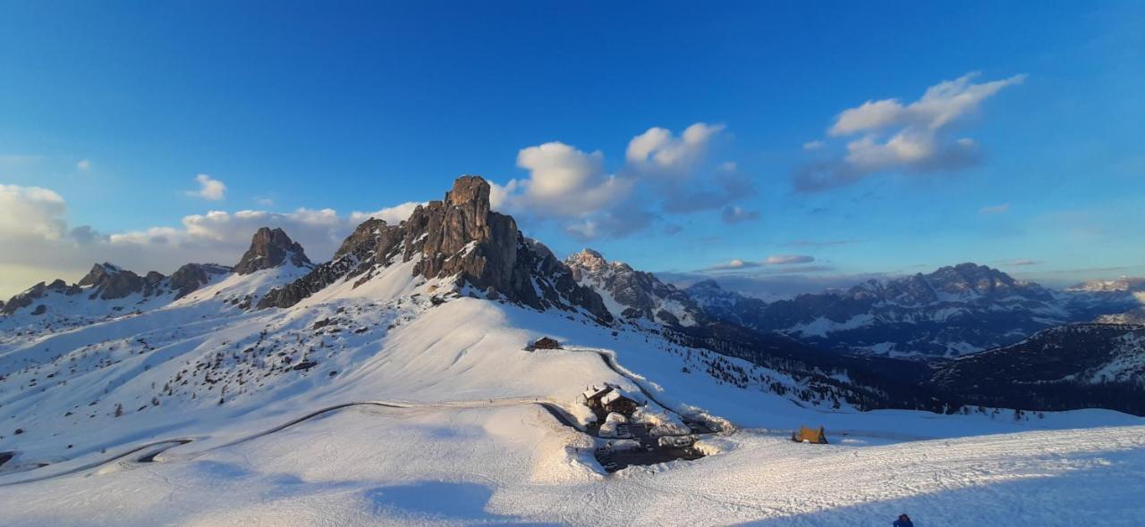 B&B Sognoincadore Domegge di Cadore Dış mekan fotoğraf