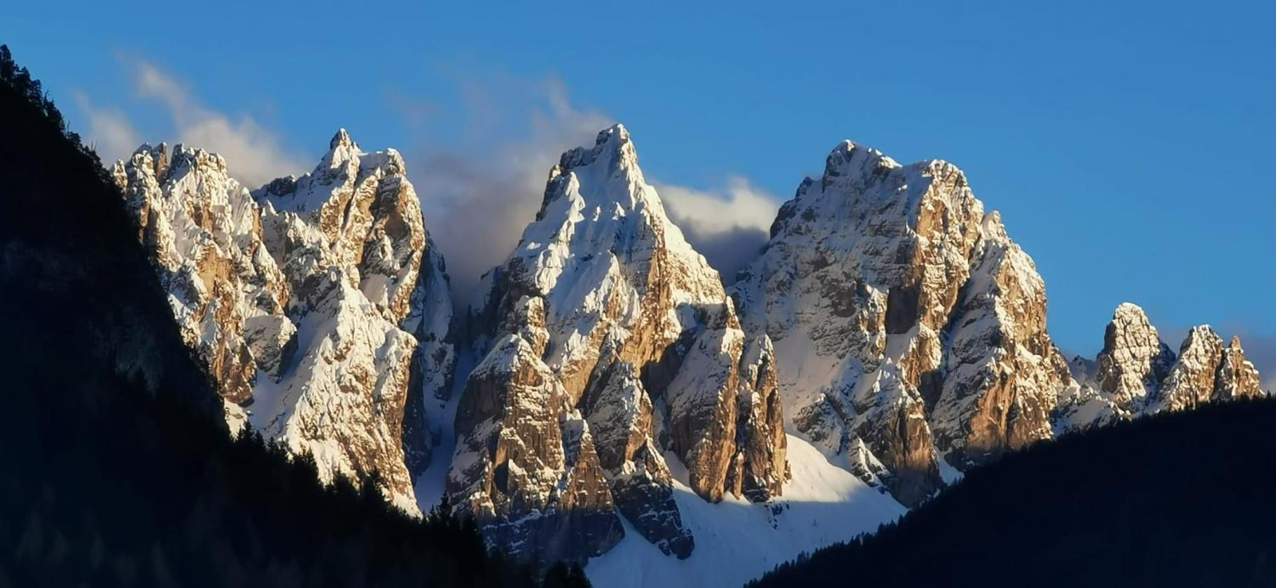 B&B Sognoincadore Domegge di Cadore Dış mekan fotoğraf