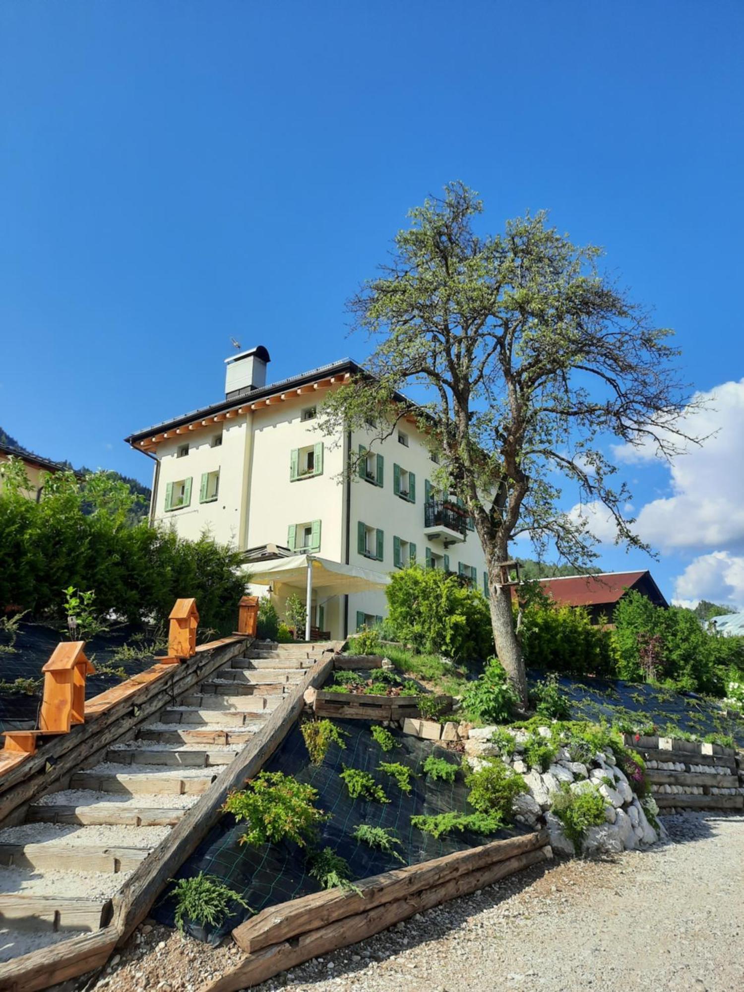 B&B Sognoincadore Domegge di Cadore Dış mekan fotoğraf